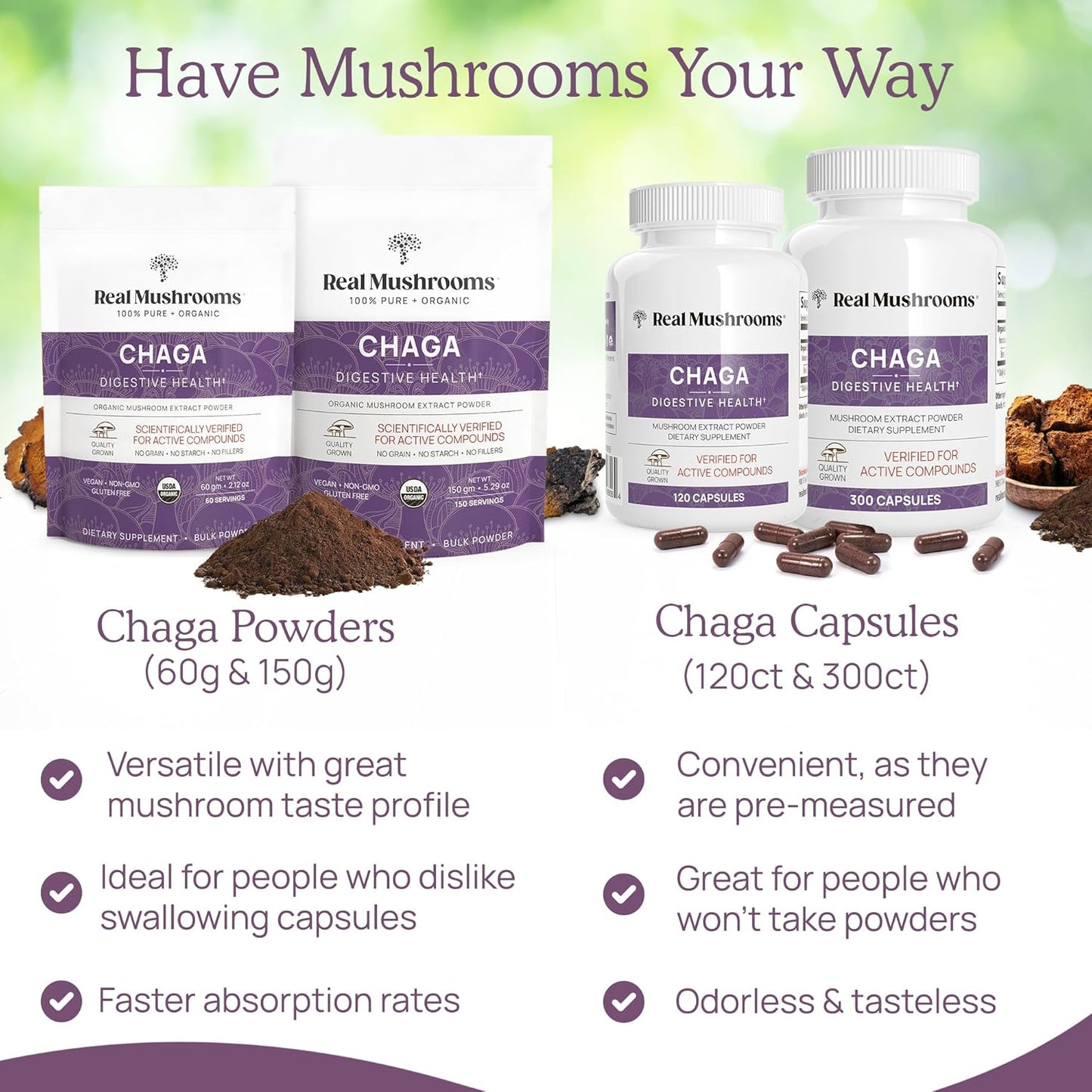 Chaga Powder - Organic Mushroom Supplement with Chaga Extract - Chaga Mushroom with Fungal Polysaccharides & Immunomodulating Properties - Non-Gmo, 60 Servings