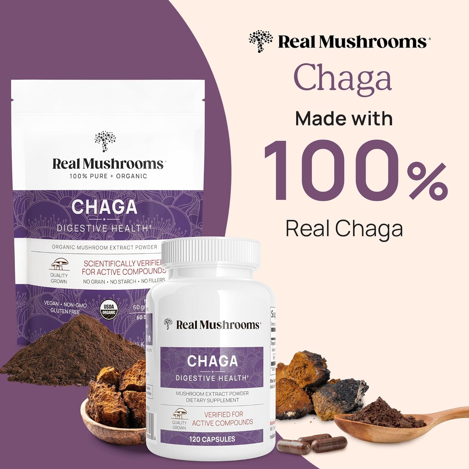 Chaga Powder - Organic Mushroom Supplement with Chaga Extract - Chaga Mushroom with Fungal Polysaccharides & Immunomodulating Properties - Non-Gmo, 60 Servings