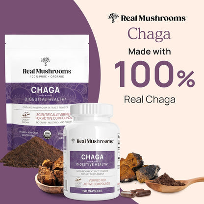 Chaga Powder - Organic Mushroom Supplement with Chaga Extract - Chaga Mushroom with Fungal Polysaccharides & Immunomodulating Properties - Non-Gmo, 60 Servings