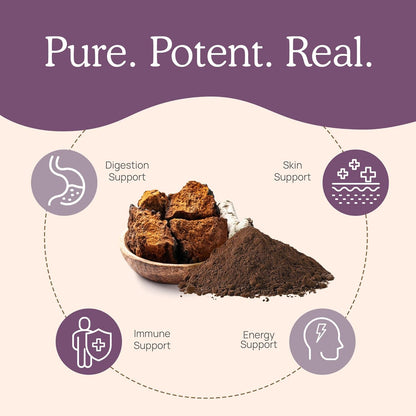 Chaga Powder - Organic Mushroom Supplement with Chaga Extract - Chaga Mushroom with Fungal Polysaccharides & Immunomodulating Properties - Non-Gmo, 60 Servings