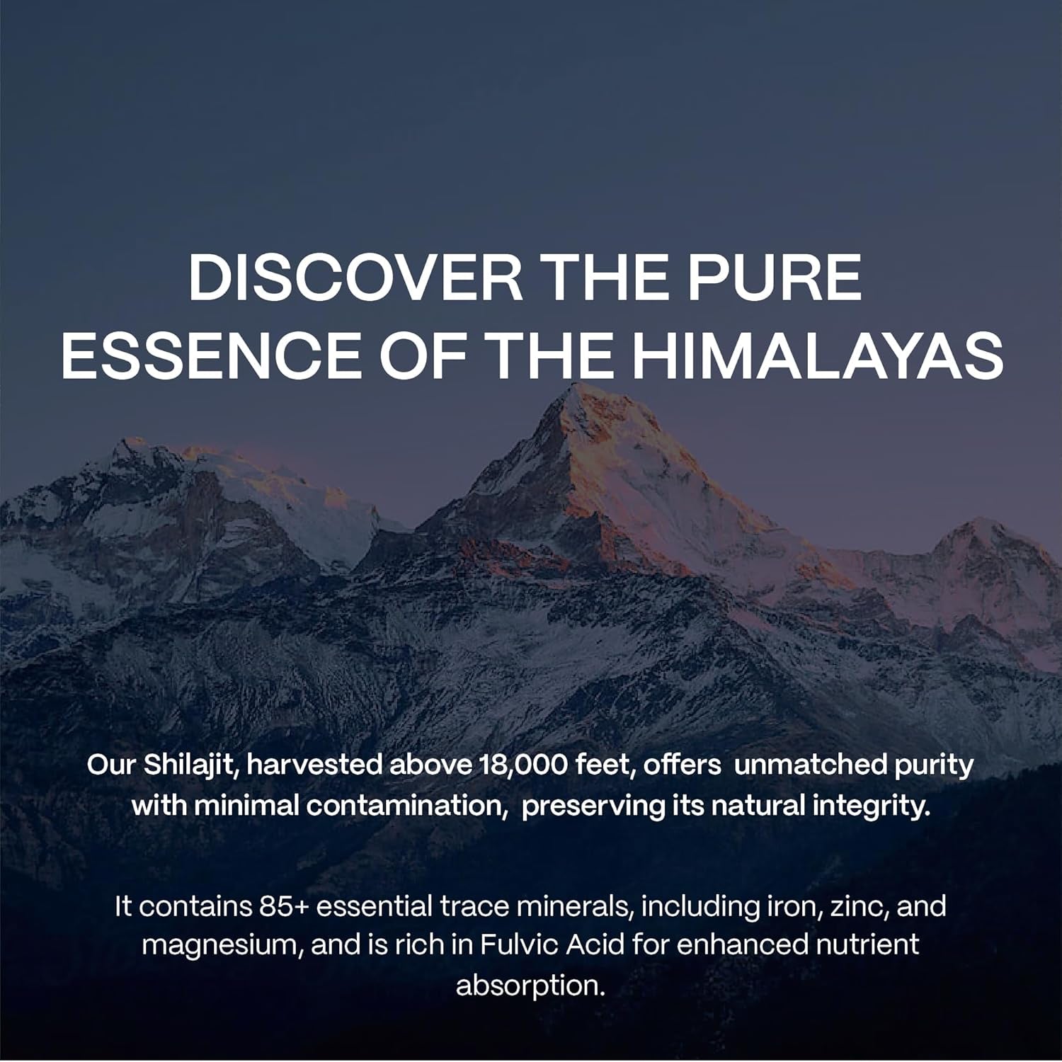 Shilajit Capsules – Pure Himalayan Natural Shilajit for Men and Women, 500Mg per Serving (2 Capsules), Boost Energy and Vitality, 50% Fulvic Acid, Trace Minerals, Immune Support, Vegan Friendly