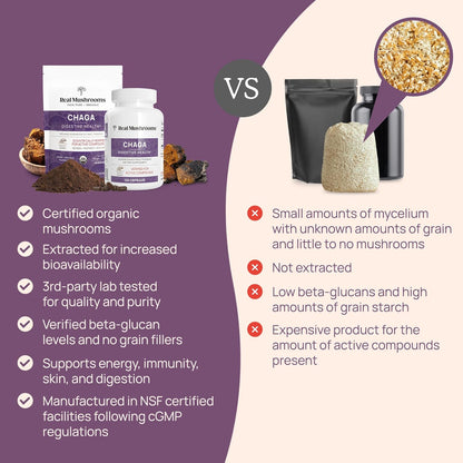 Chaga Powder - Organic Mushroom Supplement with Chaga Extract - Chaga Mushroom with Fungal Polysaccharides & Immunomodulating Properties - Non-Gmo, 60 Servings