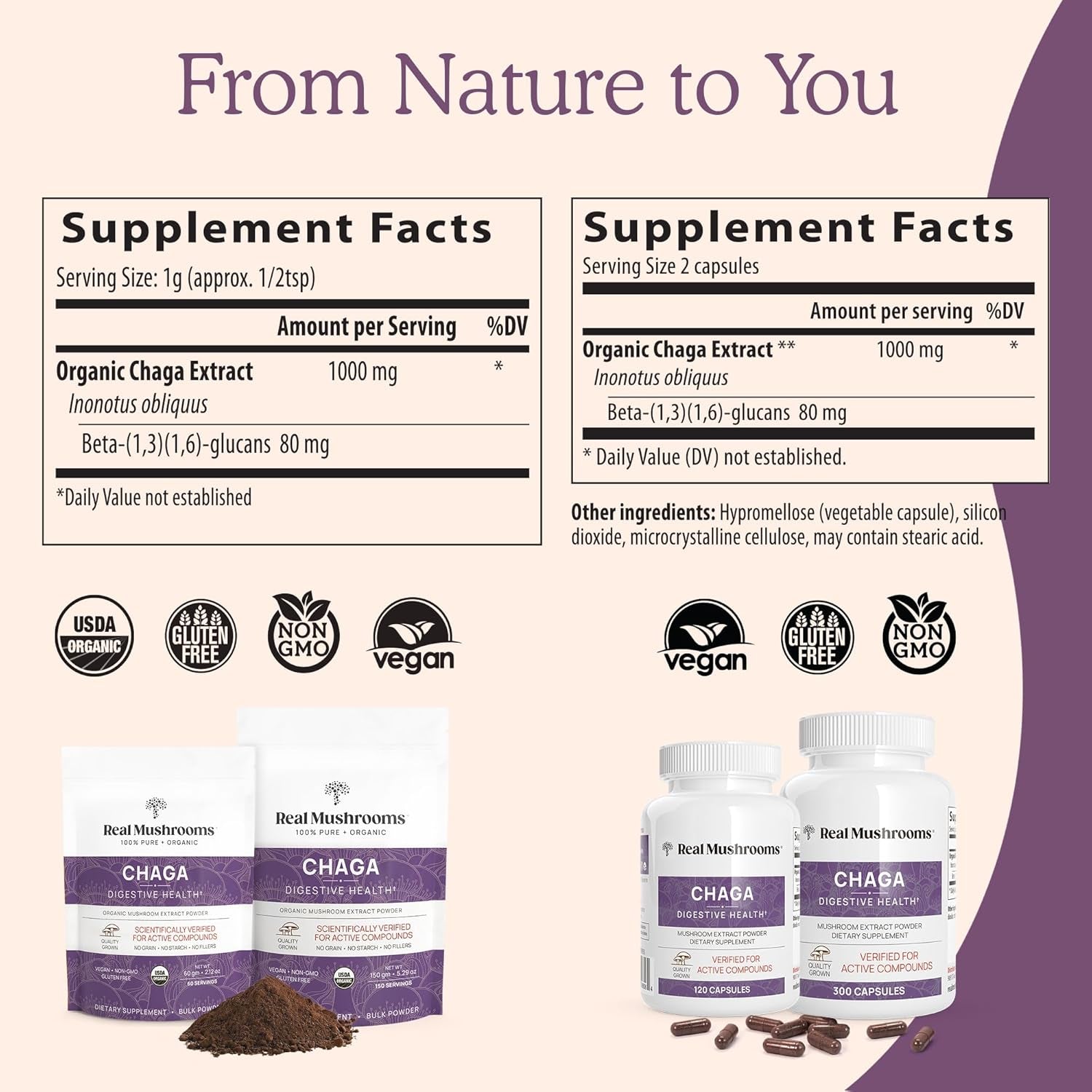 Chaga Powder - Organic Mushroom Supplement with Chaga Extract - Chaga Mushroom with Fungal Polysaccharides & Immunomodulating Properties - Non-Gmo, 60 Servings