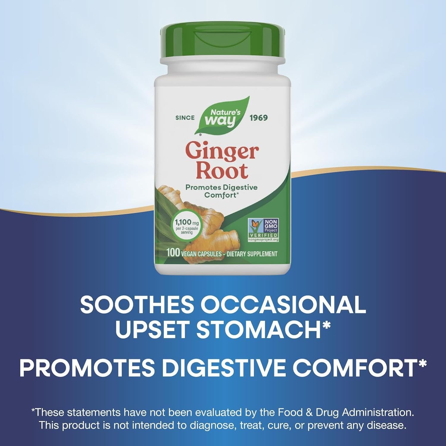 Ginger Root – Traditional Digestive Support Supplement – Helps Relieve Digestive Upset – Gluten Free, Vegetarian, Non-Gmo – 100 Capsules
